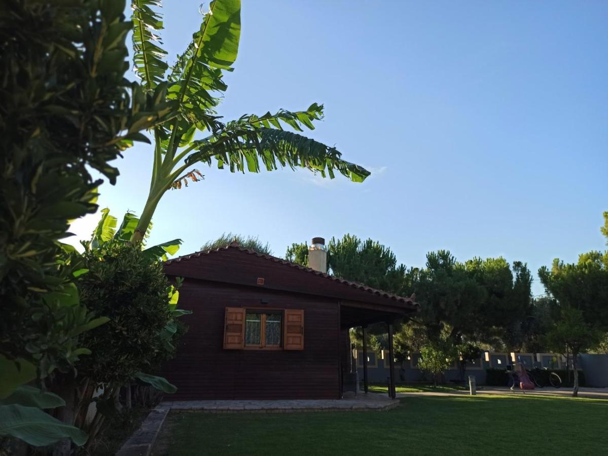 Aliki Guest House Aigio Extérieur photo